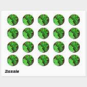 Ivy Vine op Palm Tree 5 Ronde Sticker (Vel)