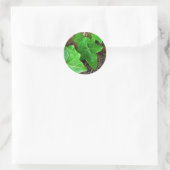 Ivy Vine op Palm Tree 5 Ronde Sticker (Tas)