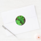 Ivy Vine op Palm Tree 5 Ronde Sticker (Envelop)