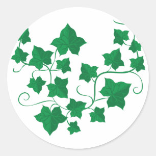 Ivy Vines Ronde Sticker