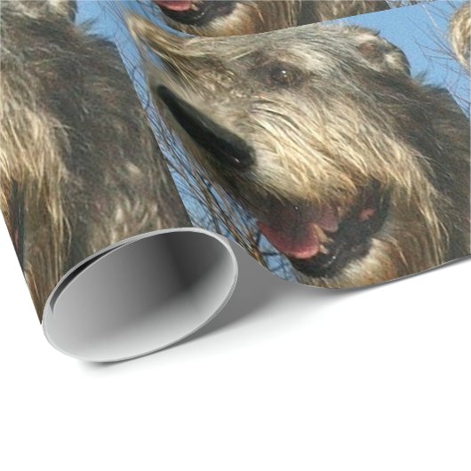 IW CADEAUPAPIER (Rol Hoek)