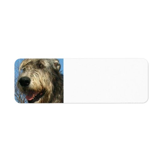 IW.PNG ETIKET (Voorkant)