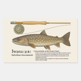 Iwana (Salvelinus leucomaenis) – Engelse Illustrat Rechthoekige Sticker