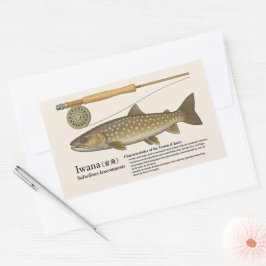 Iwana (Salvelinus leucomaenis) – Engelse Illustrat Rechthoekige Sticker