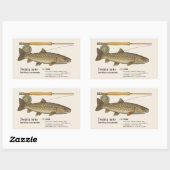Iwana (Salvelinus leucomaenis) – Fish Illustration Rechthoekige Sticker (Vel)