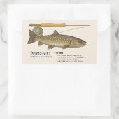 Iwana (Salvelinus leucomaenis) – Fish Illustration Rechthoekige Sticker (Tas)