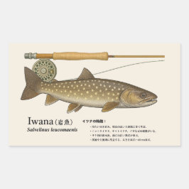 Iwana (Salvelinus leucomaenis) – Fish Illustration Rechthoekige Sticker