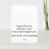 Iwo Jima, Kaart van Veteranendag (Achterkant)