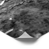 Iwo Jima Poster (Hoek)