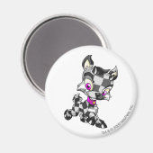 Ixi Gecontroleerd Magneet (Voorkant / Achterkant)