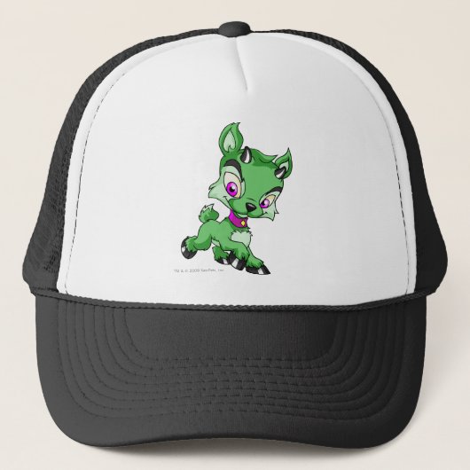 Ixi Green Trucker Pet (Voorkant)