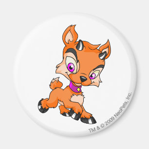 Ixi Oranje Magneet