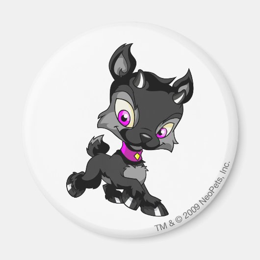 Ixi Shadow Magneet (Voorkant)