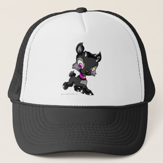 Ixi Shadow Trucker Pet (Voorkant)