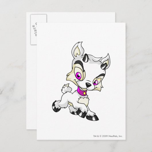 Ixi Wit Briefkaart (Voorkant / Achterkant)