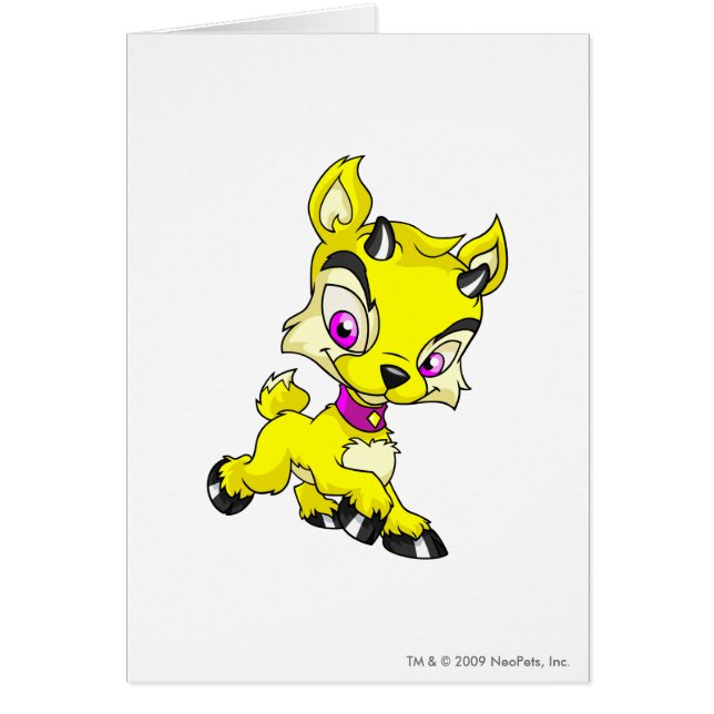 Ixi Yellow (Voorkant)