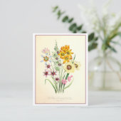 Ixia Botanische Illustratie Vintage Briefkaart (Staand voorkant)