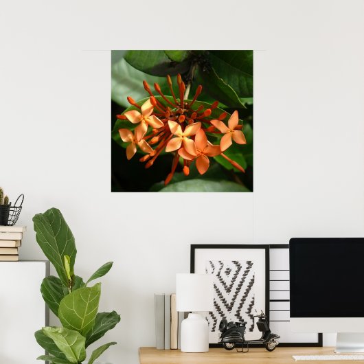 Ixora Bouquet Poster (Thuiskantoor)