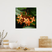 Ixora Bouquet Poster (Keuken)