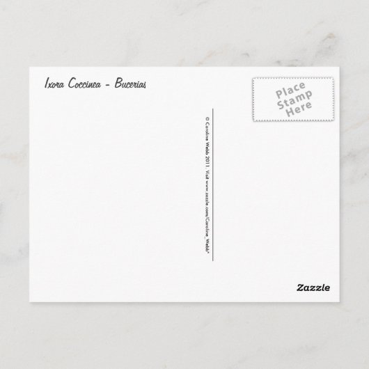 Ixora Coccinea - Rode Bloemen Briefkaart (Achterkant)