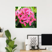 Ixora Plant Poster (Thuiskantoor)