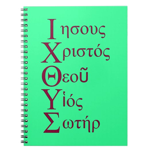 IXOYE-akrotisch (rood) Notitieboek (Voorkant)