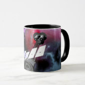 IXPE X-Ray Observatory Mok (Voorkant rechts)