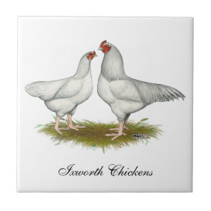 Ixworth Chickens Tegeltje