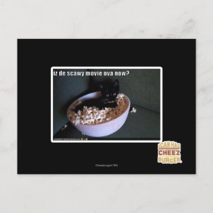 Iz de scawy film eicellen nu? briefkaart