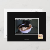 Iz de scawy film eicellen nu? briefkaart (Voorkant / Achterkant)