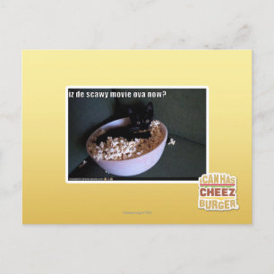 Iz de scawy film eicellen nu? briefkaart