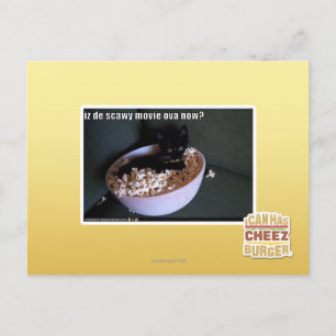 Iz de scawy film eicellen nu? briefkaart