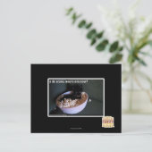 Iz de scawy film eicellen nu? briefkaart (Staand voorkant)