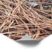 Izzy's nest poster (Hoek)