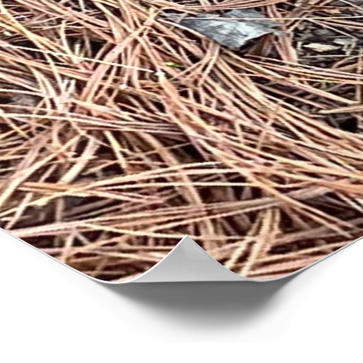 Izzy's nest poster (Hoek)