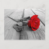 J0440294 BRIEFKAART (Voorkant)