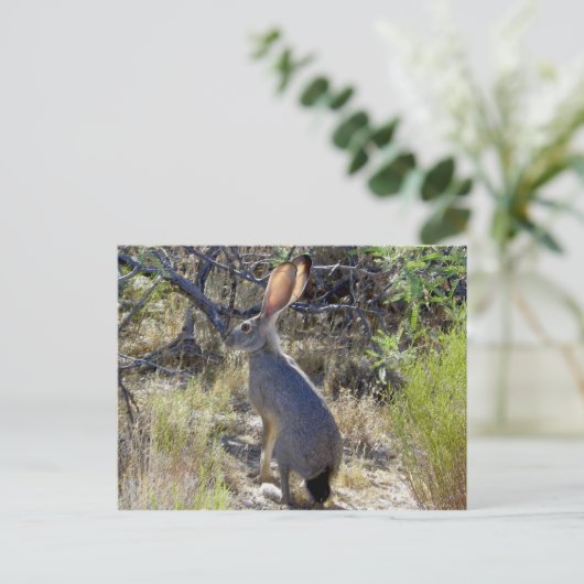 J A C K B B I B T BRIEFKAART (Staand voorkant)