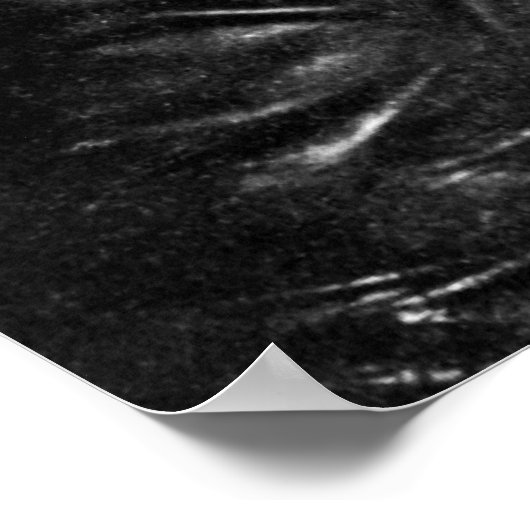 J.E.B. Stuart Poster (Hoek)