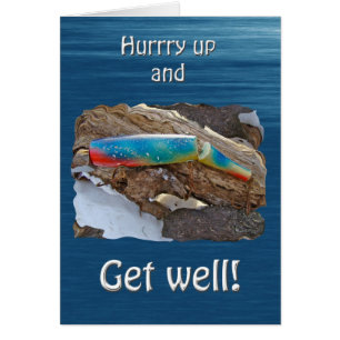 J & H "WIG LIT"  zoutwaterproducten