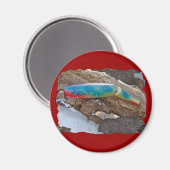 J & H "WIG LIT"  zoutwaterproducten Magneet (Voorkant / Achterkant)