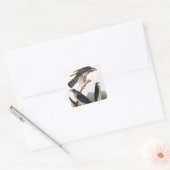 J.J. Audubon (Goshawk, Stanley Hawk) (1829) Vierkante Sticker (Envelop)