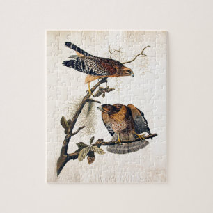 J.J. Audubon (Red Shoulded Hawk) (1829) Legpuzzel