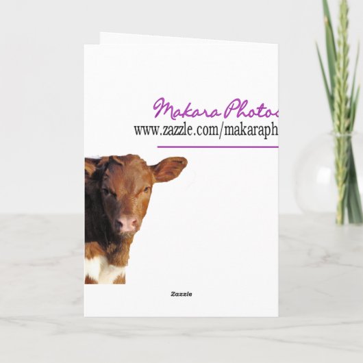 J KAART (Achterkant)