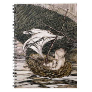 J.M. Barrie   "Hij ging door de brug en kwam om Notitieboek