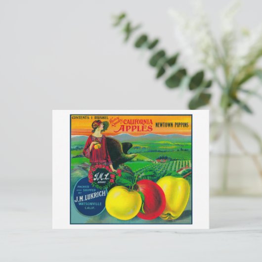 J.M.L. Apple Crate LabelWatsonville, CA Briefkaart (Staand voorkant)