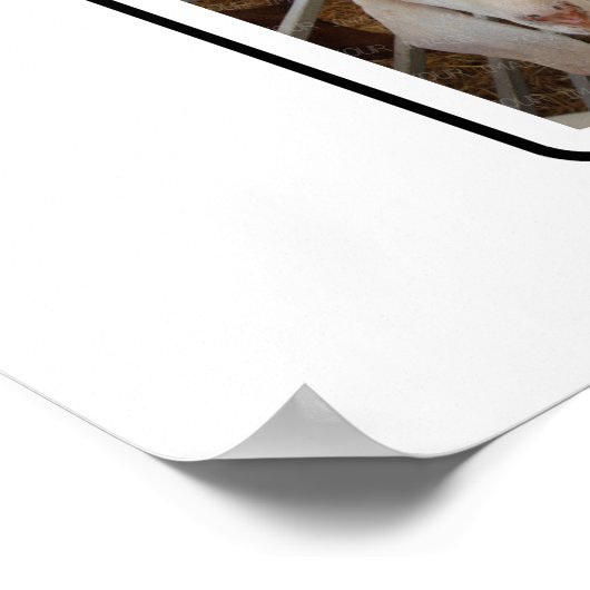 J Monogram Creëer Uw Eigen 6 Aangepaste fotocollag Poster (Hoek)