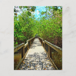 J N Ding Darling National Wildlife Refuge Briefkaa Briefkaart