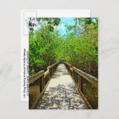 J N Ding Darling National Wildlife Refuge Briefkaa Briefkaart (Voorkant / Achterkant)