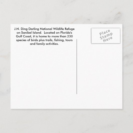 J N Ding Darling National Wildlife Refuge Briefkaa Briefkaart (Achterkant)