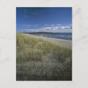 J.T. Chessman Provincial Park, duingras Briefkaart